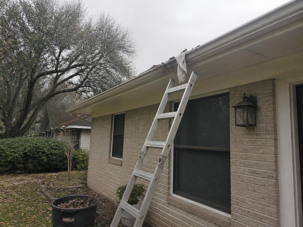 Gutter Clean-Out